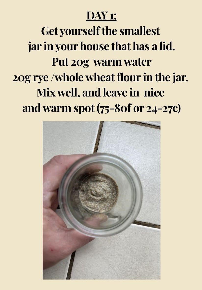 Day 1: get the smallest jar in your house that has a lid. Put 20g warm water and 20g rye or whole wheat flour in the jar, mix well, and leave in a nice warm spot (75-80F or 24-27C). Photo of a small jar of freshly mixed starter.
