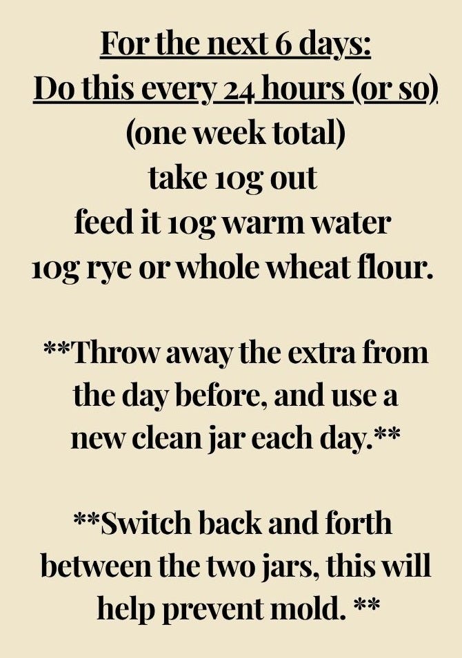 For the next 6 days, do this every 24 hours or so (one week total): take 10g out, feed it 10g warm water and 10g rye or whole wheat flour. Throw away the extra from the day before and use a new clean jar each day - switching back and forth between two jars helps prevent mold.