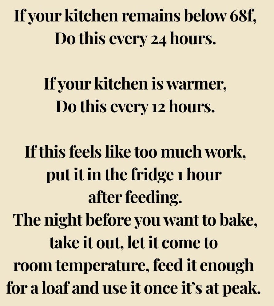 If your kitchen stays below 68F, feed every 24 hours; if warmer, every 12. If that feels like too much work, put it in the fridge 1 hour after feeding. The night before you want to bake, take it out, let it come to room temperature, feed it enough for a loaf, and use it once it’s at peak.